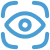 Vision Icon